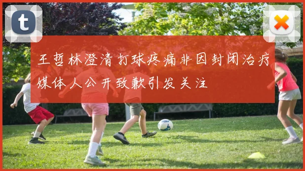 王哲林澄清打球疼痛非因封闭治疗媒体人公开致歉引发关注